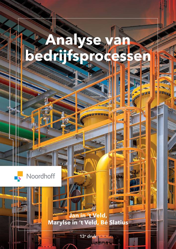 Analyse van bedrijfsprocessen / Druk 13