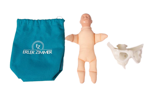 [2030000002641] Erler-zimmer fantoom vrouwelijk bekken met pop miniatuur
