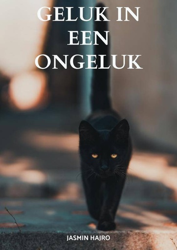 [9789464855319] Geluk in een ongeluk / Druk 1