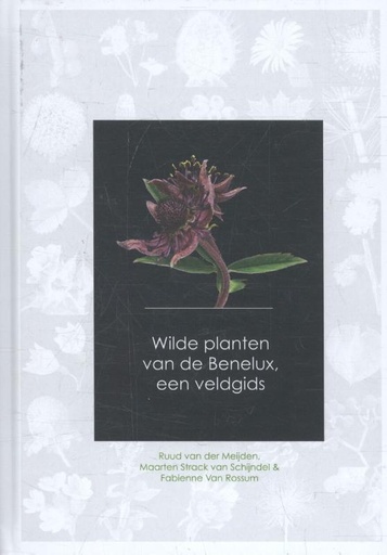 [9789082451139] Wilde planten van de Benelux, een veldgids